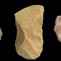 Los humanos llevamos 600 mil años acumulando conocimiento cultural