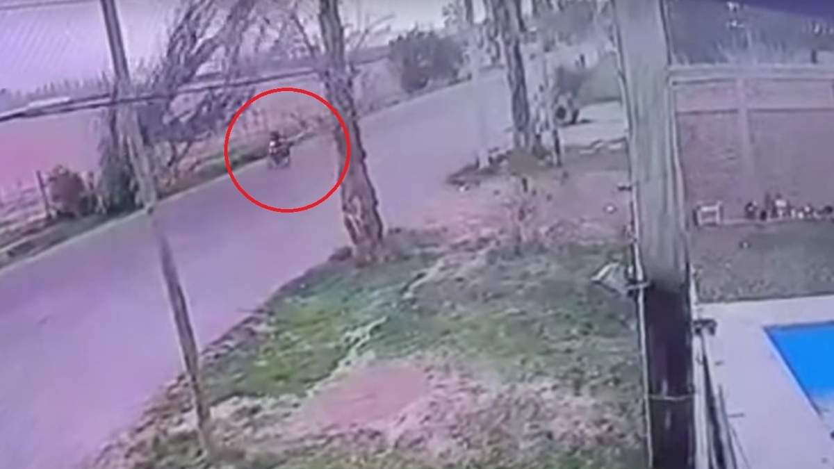 Un árbol cayó sobre un delivery en Las Heras