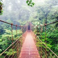 En Costa Rica fomentan la economía verde para recuperar el turismo