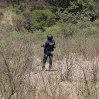 Hallan siete cuerpos en un campamento del crimen organizado en Michoacán