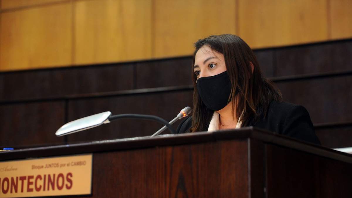 Karina Montecinos, presidenta del CC-ARI. Fuente: (Twitter)