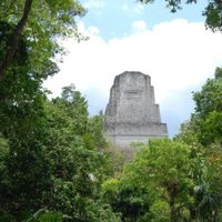 Los mayas de Tikal protegieron espacios verdes en su metrópoli