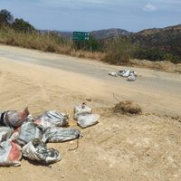 Hallan seis cuerpos desmembrados y otros cuatro con huellas de tortura en carreteras de Guerrero