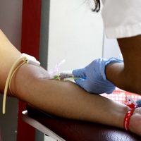 Salud: comienzan las campañas para la donación de sangre