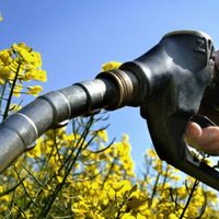 Los diputados de la Comisión de Energía debatirán el proyecto de ley de biocombustibles
