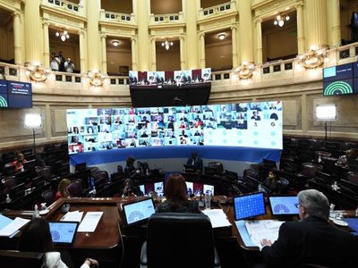 Con un voto en contra, el Senado aprobó que los legisladores no puedan comprar dólar ahorro