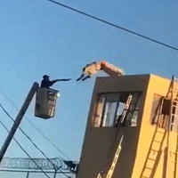 Un reo en Sonora se escapa, sube a la torre de vigilancia y se lanza al precipicio (video)