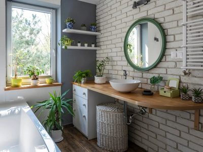 Cuáles son las mejores suculentas para tener en el baño y que no se dañen