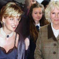 No fue Camilla Parker Bowles: confesó la verdadera razón del divorcio de Lady Di