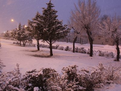 Zapala: el regreso de las grandes nevadas