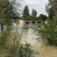 Pide gobernador de Guanajuato declaratoria de desastre para Abasolo tras lluvias