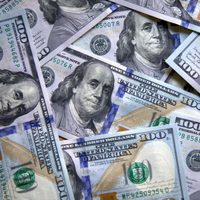 El dólar se desplomó tras las elecciones legislativas y los mercados le dan un nuevo respaldo a Javier Milei