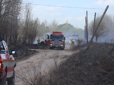 Doce dotaciones de bomberos controlaron un incendio forestal que amenazó viviendas en China Muerta