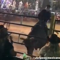 Toro derriba valla y embiste a asistentes a un jaripeo en Morelia (Videos)