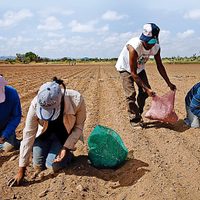 El campo en el Proyecto de Presupuesto 2023: Programas cuestionados, productores desprotegidos