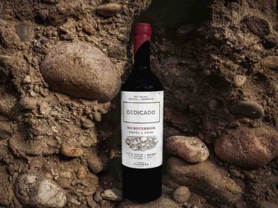Edición limitada de un vino elaborado tras el estudio de microparcelas