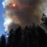 La lluvia no fue suficiente para acabar con los incendios de Aluminé