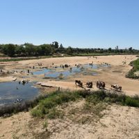 Así una mujer salvó a toda una aldea de morir de hambre en Madagascar