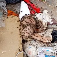 Vecinos de Villa Ceferino alertan por carne podrida acumulada en el contenedor que desborda el barrio