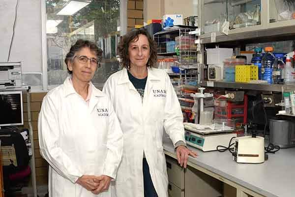 Edda Sciutto Conde y Gladis Fragoso González. Investigación contra el cáncer