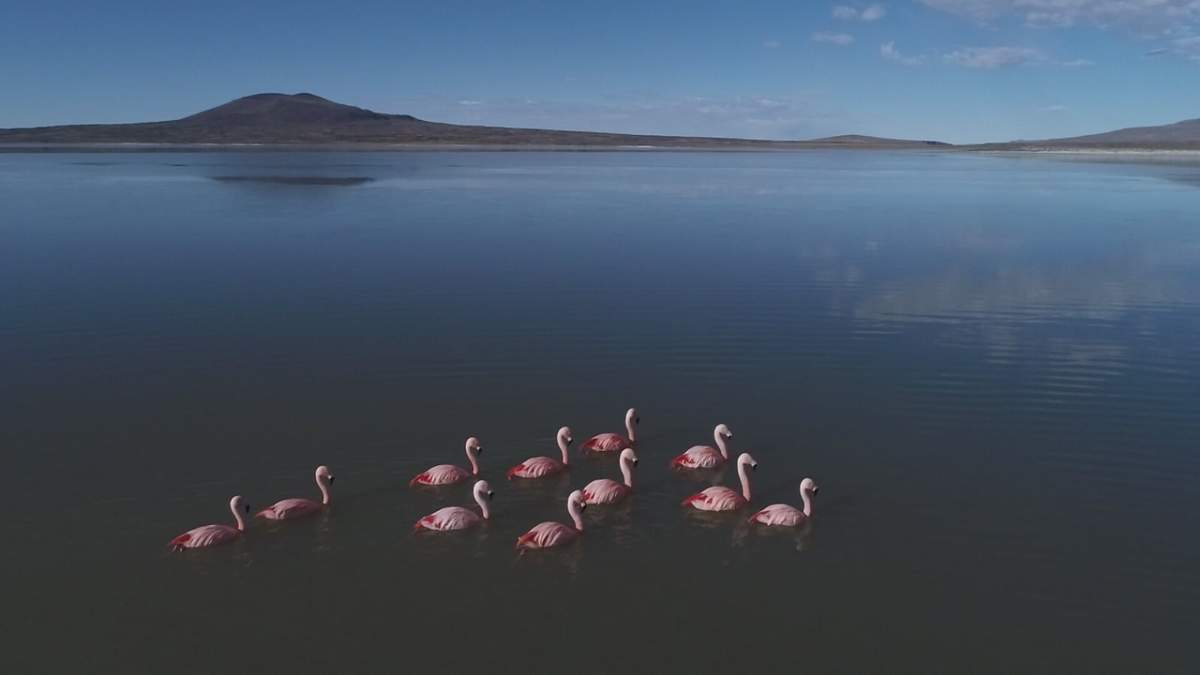 Laguna Blanca. Fuente: (Argentina.gob)