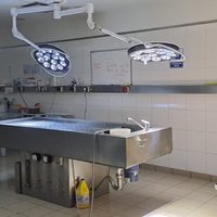Exigen reconocimiento de insalubridad para el Cuerpo Médico Forense del Poder Judicial