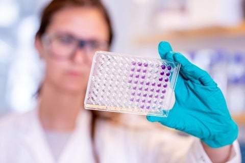 La vacuna de AstraZeneca produce respuesta inmune en adultos jóvenes y ancianos: Foto: https://www.astrazeneca.com/