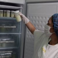 Comprobado: la leche materna destruye la mayoría de las cepas de coronavirus