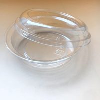 Con solo 1 bowl de plástico descartable: mirá la hermosa maceta "low cost" que podés crear