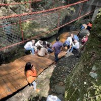 Habrá destitución de funcionarios por la caída del puente colgante: alcalde de Cuernavaca