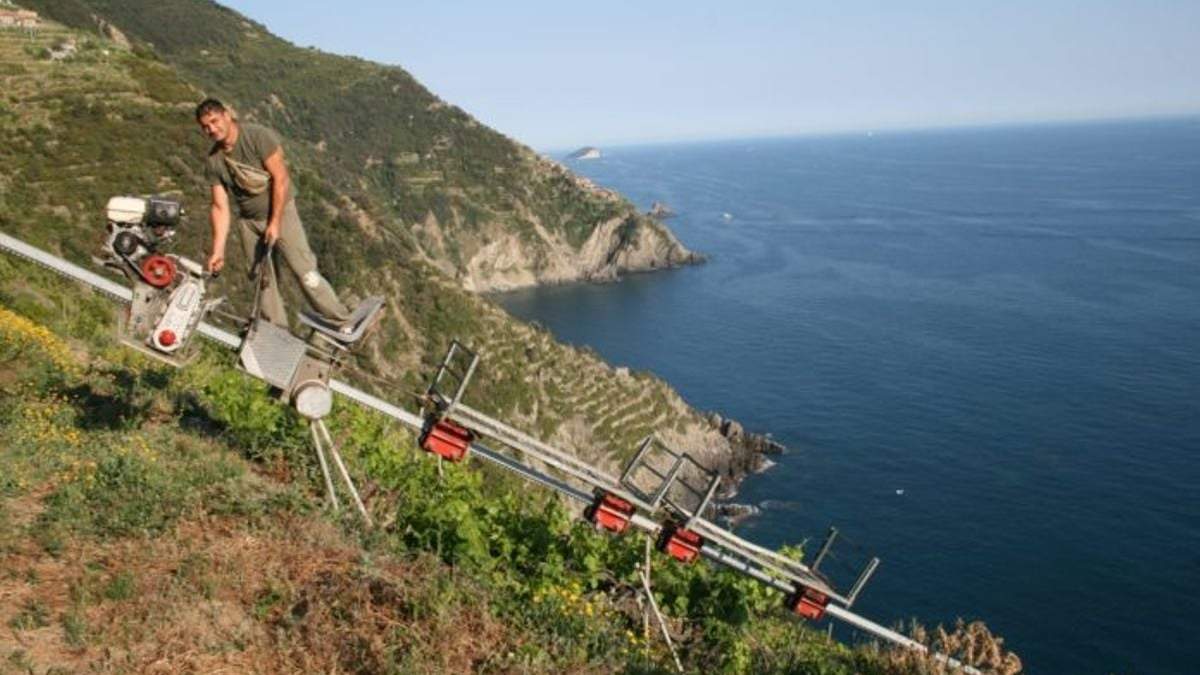 Entrega de premios a los vinos heroicos. Fuente: (Instagram)