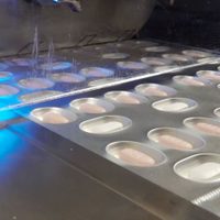 El ente regulador europeo dio luz verde al uso de emergencia de la píldora anticovid de Pfizer