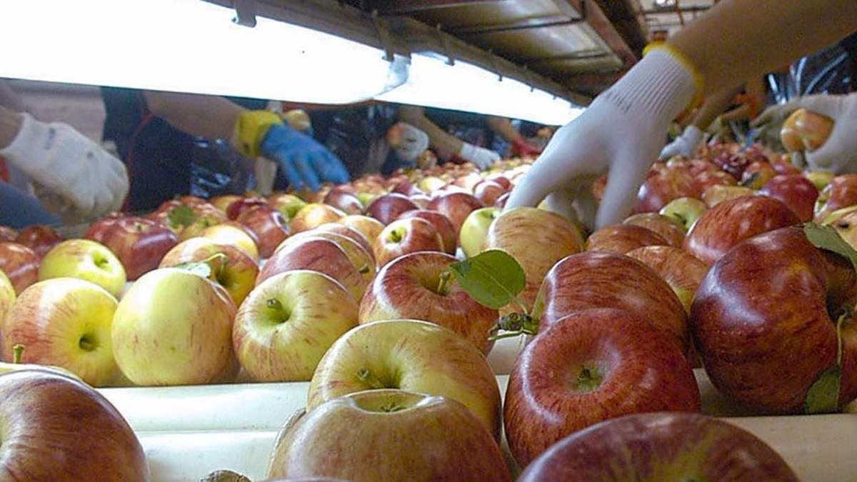 El próximo encuentro será en Villa El Chocón. Fuente: (Neuquén Informa).