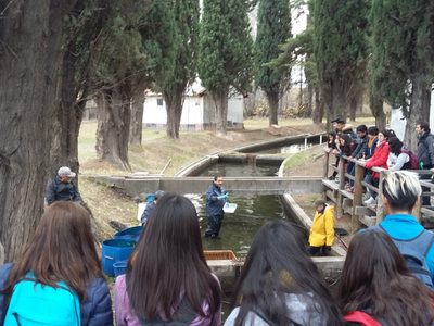 Legisladores proponen que alumnos de cuarto grado realicen una promesa por el cuidado del Ambiente