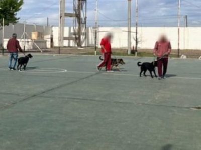 Internos de la Unidad 11 aprendieron adiestramiento canino