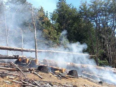 Quien realice quemas en el Parque Nacional Nahuel Huapi será sancionado