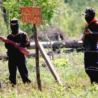 Ordenan a la Sedena informar sobre operaciones militares contra el EZLN en Chiapas