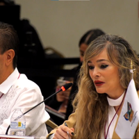XXIX Asamblea Plenaria de la Conferencia Nacional de Secretarias y Secretarios de Seguridad Pública