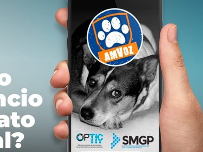 La aplicación para denunciar maltrato animal en Neuquén ha tenido más de 2 mil solicitudes