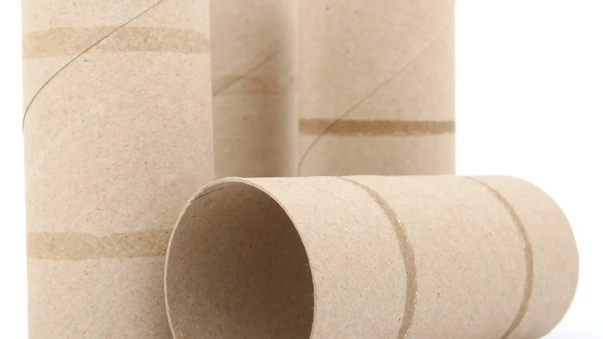 Rollos de papel higiénico. Fuente: (X)