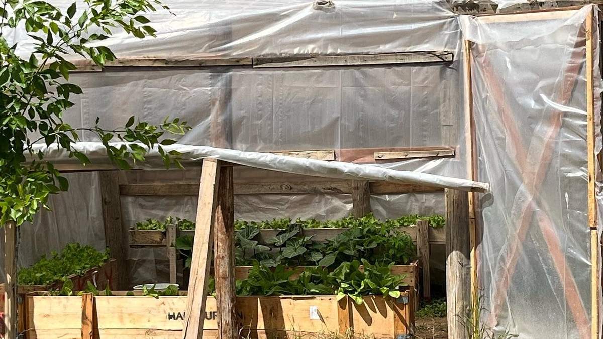 La huerta en el Parque Central. Fuente: (Facebook)