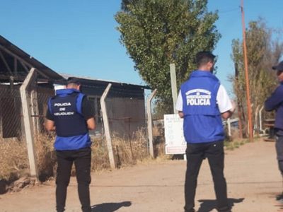 Contaminación: encontraron un cubo de cemento donde podrían estar enterrados los transformadores