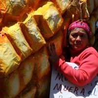 Senadores de EU piden elevar al T-MEC el rechazo de AMLO a su maíz transgénico