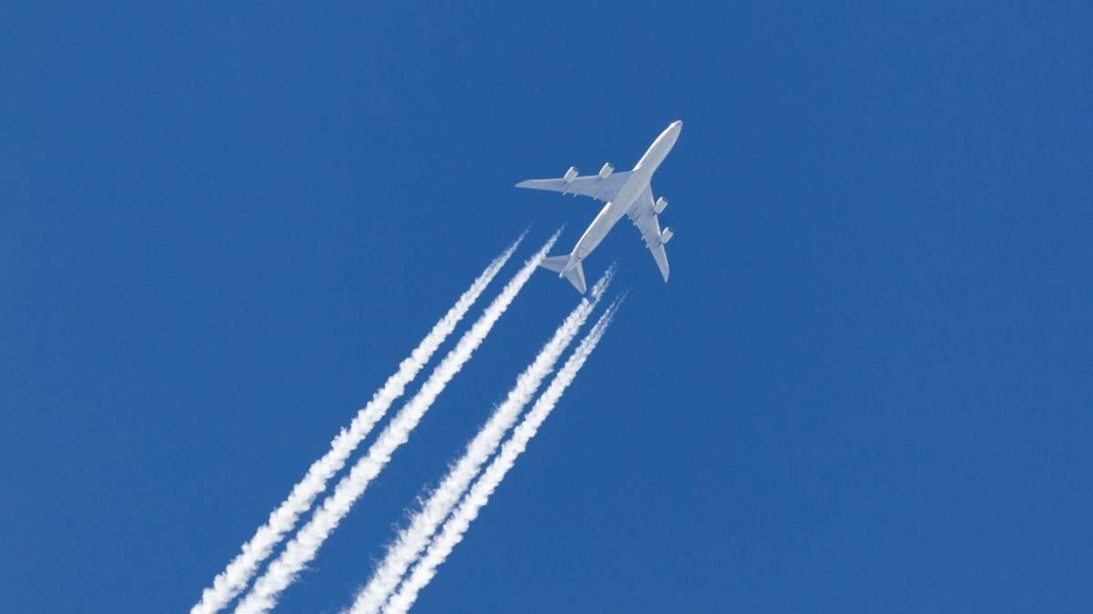 Avión. Fuente: (Twitter)