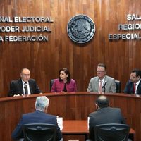 ¿Cómo resuelve el Tribunal Electoral los conflictos relacionados con actos de los partidos políticos?