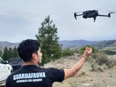 Neuquén incorporó un sistema de cámaras inteligentes para monitorear en tiempo real y proteger a la fauna
