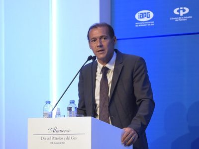 Omar Gutiérrez: “Necesitamos reafirmar el potencial de Vaca Muerta”
