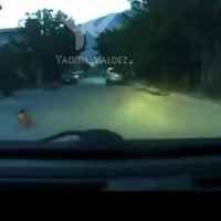 Se viraliza video de un bebé que gatea en medio de la calle en Nuevo León