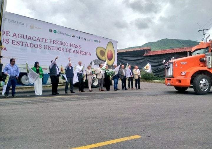 11 camiones con 200 toneladas de aguacates listos para ser transportados