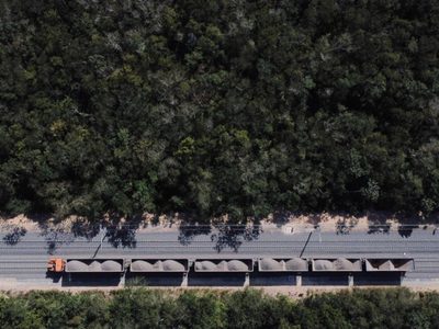 Ambientalistas logran suspensión provisional contra la descarga de balasto para el Tren Maya